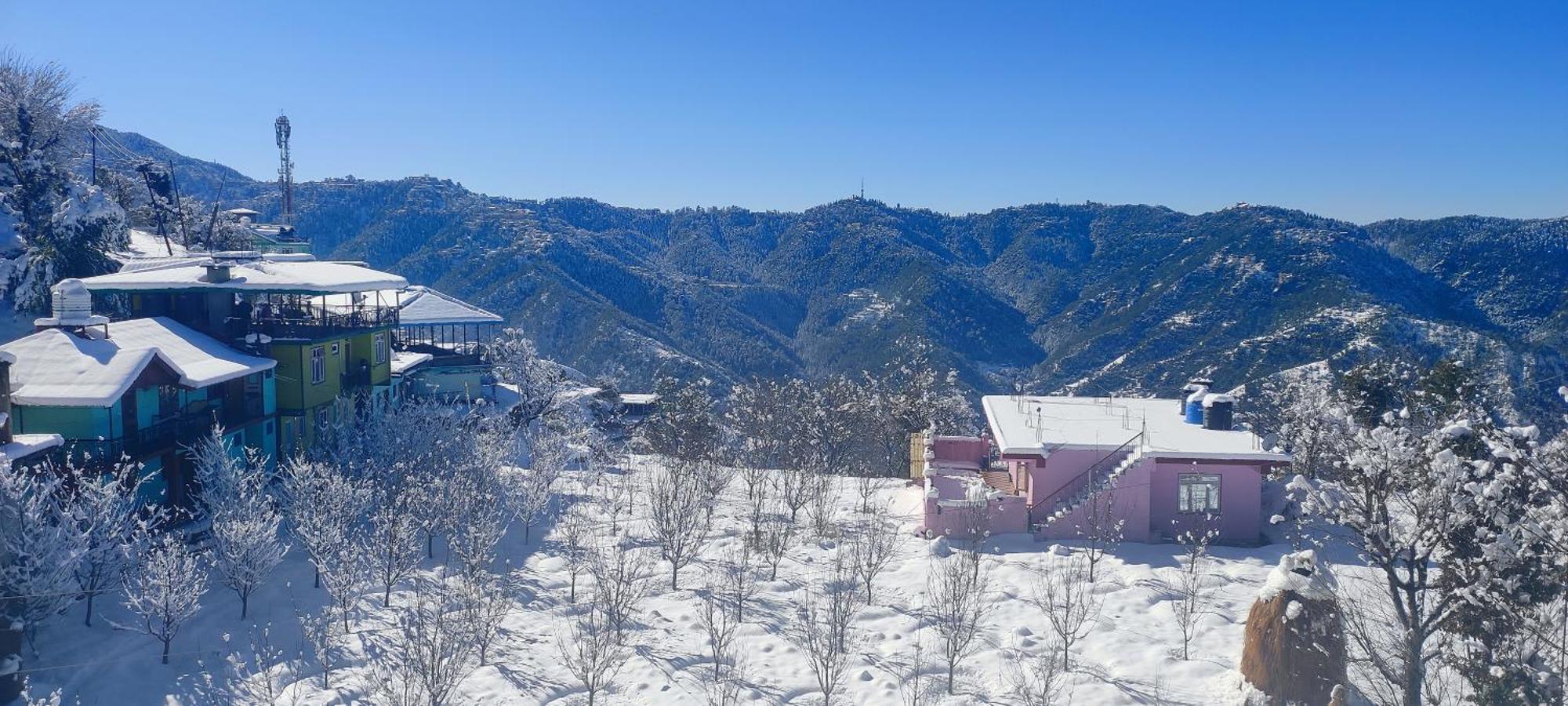 Vintage Woods Inn Shimla Exterior photo